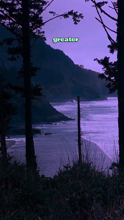 “Read This Before You Give Up