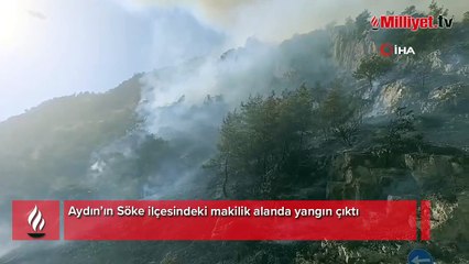 Aydın'da yangın! Havadan ve karadan müdahale ediyor