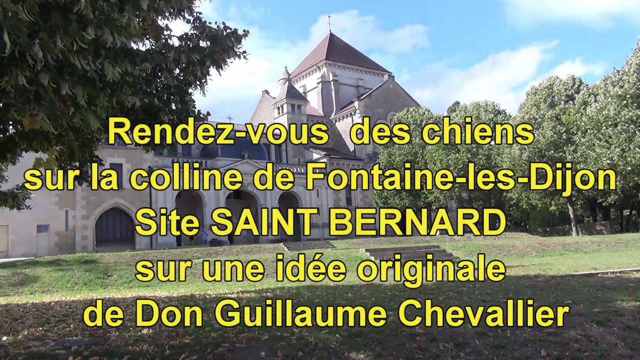 Rendez vous des chiens Colline St Bernard FONTAINE LES DIJON