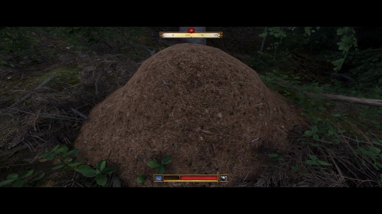 KCD 2 - angel henry - softcore - good guy - Untertitel - s1e217 - Franzoesischer Abgang