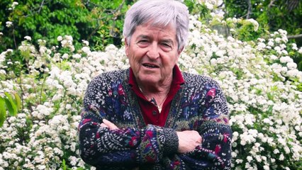 Nato il 13 Marzo. Giancarlo De Sisti, un campione chiamato Picchio - Trailer