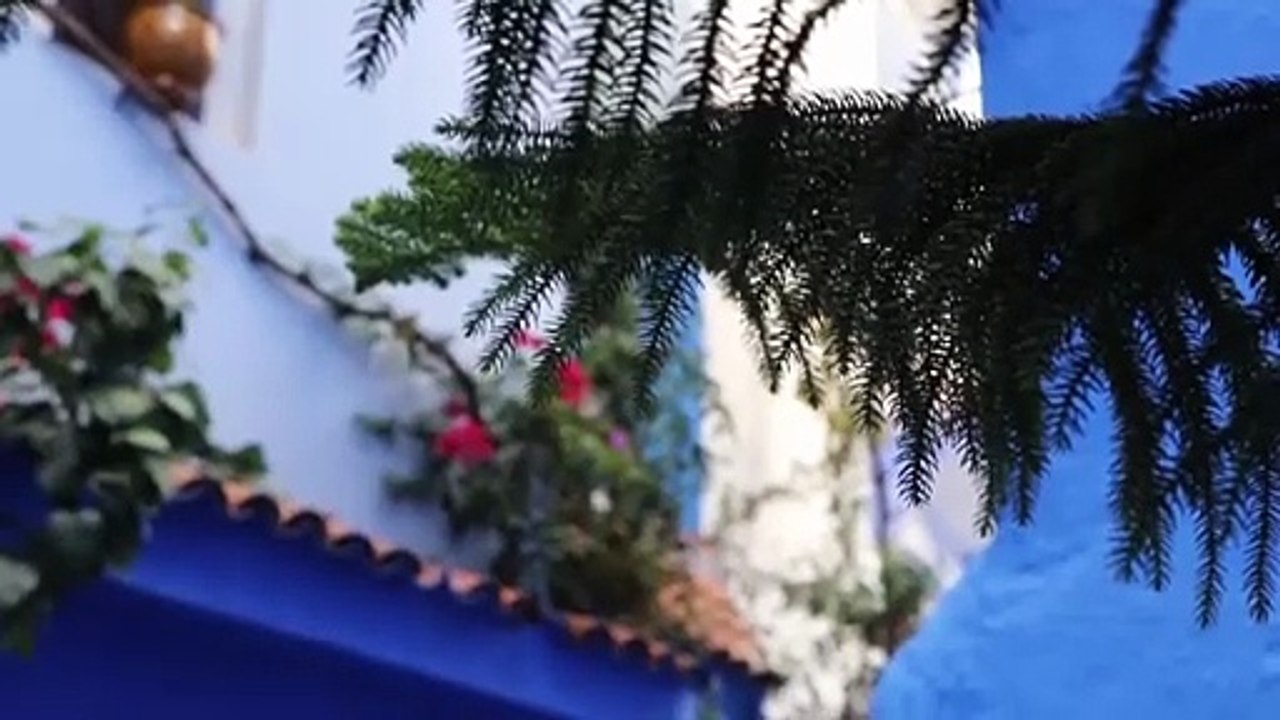استكشاف المغرب مدينة شفشاون