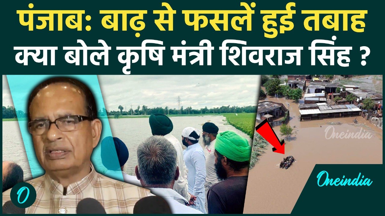 Punjab Floods: पंजाब में बाढ़ से फसलों को भारी नुकसान, Shivraj Singh ने दिया भरोसा । Punjab Rains