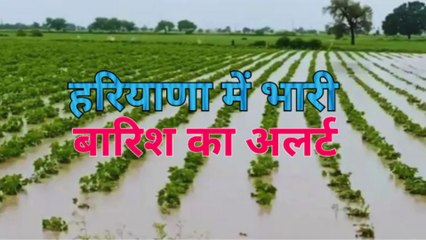 CM सैनी ने की हाई लेवल मीटिंग।