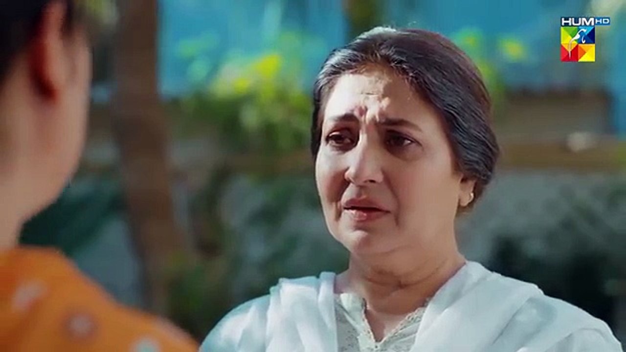 Raaja Rani Episode 37 - 3 September 25 [ Hina Afridi & Faysal Qureshi ] - HUM TV