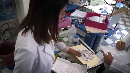 Bajo supervisión, personas que convivieron con paciente que murió por rabia