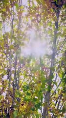 Together, Hearts In Sync