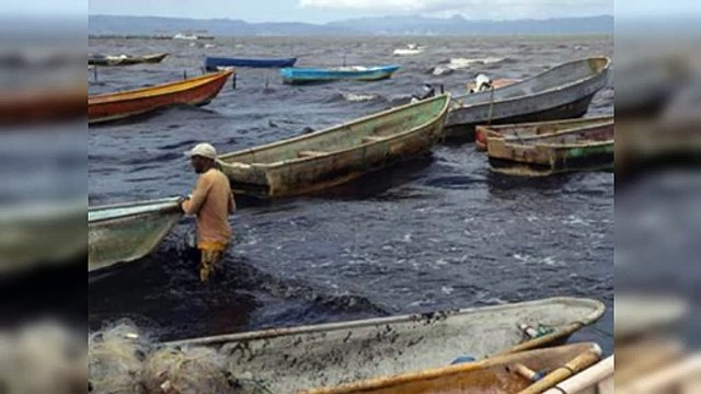 Viajes ilegales a Puerto Rico persisten pese a naufragios y controles