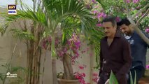 Sher Episode 31 Danish Taimoor Sarah Khan Atiqa Odho 3rd September 2025 ARY Digital Drama