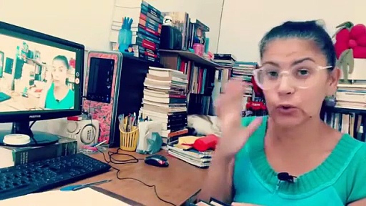 COMENTÁRIOS A COSNTITUIÇÃO DO BRASIL