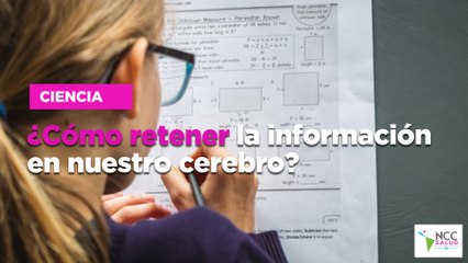 ¿Cómo retener la información en nuestro cerebro?