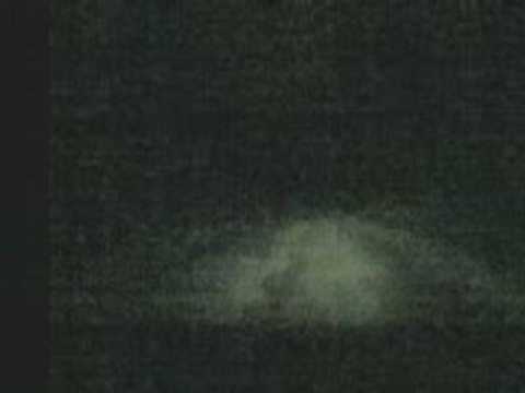 Esprit bois de brou 77