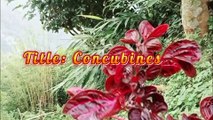 Concubines Latest duet  Romantic Love song