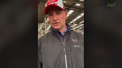 'Exceptional yarding of cattle' at Leongatha store sale