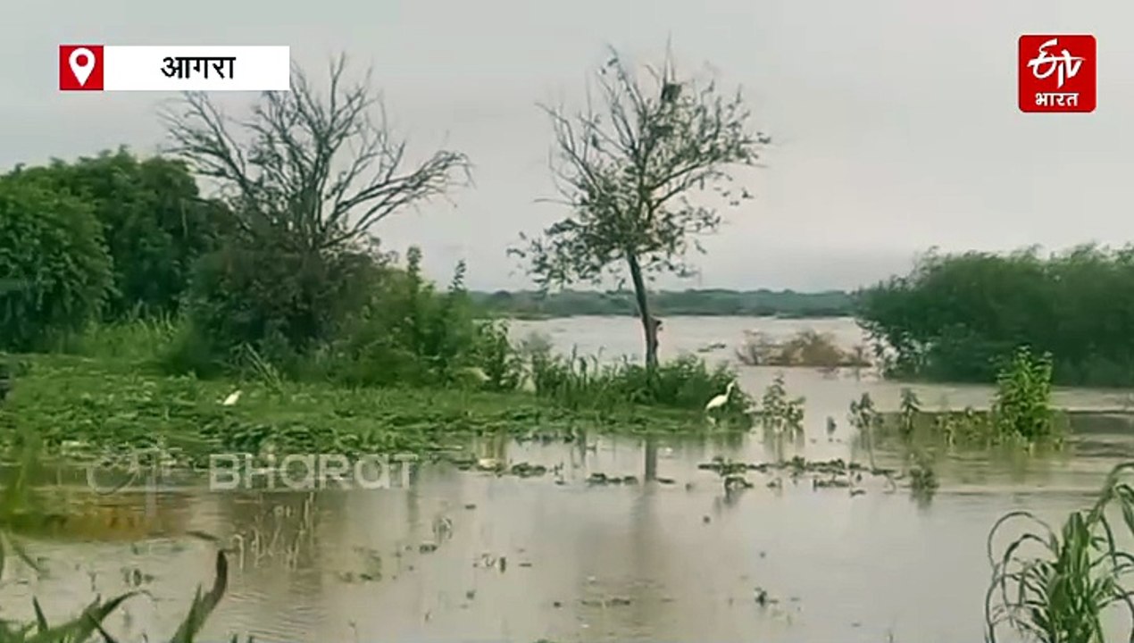 यूपी में बाढ़-बारिश LIVE; आगरा में यमुना उफान पर, स्कूल आज बंद, फिरोजाबाद में बाढ़ का खतरा