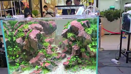 Aquascape - 9