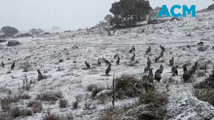 Why Yankee Hat remains one of the ACT’s must-see hikes