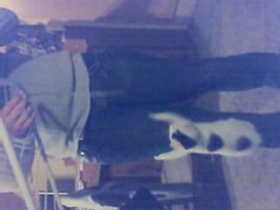 Samy klettert
