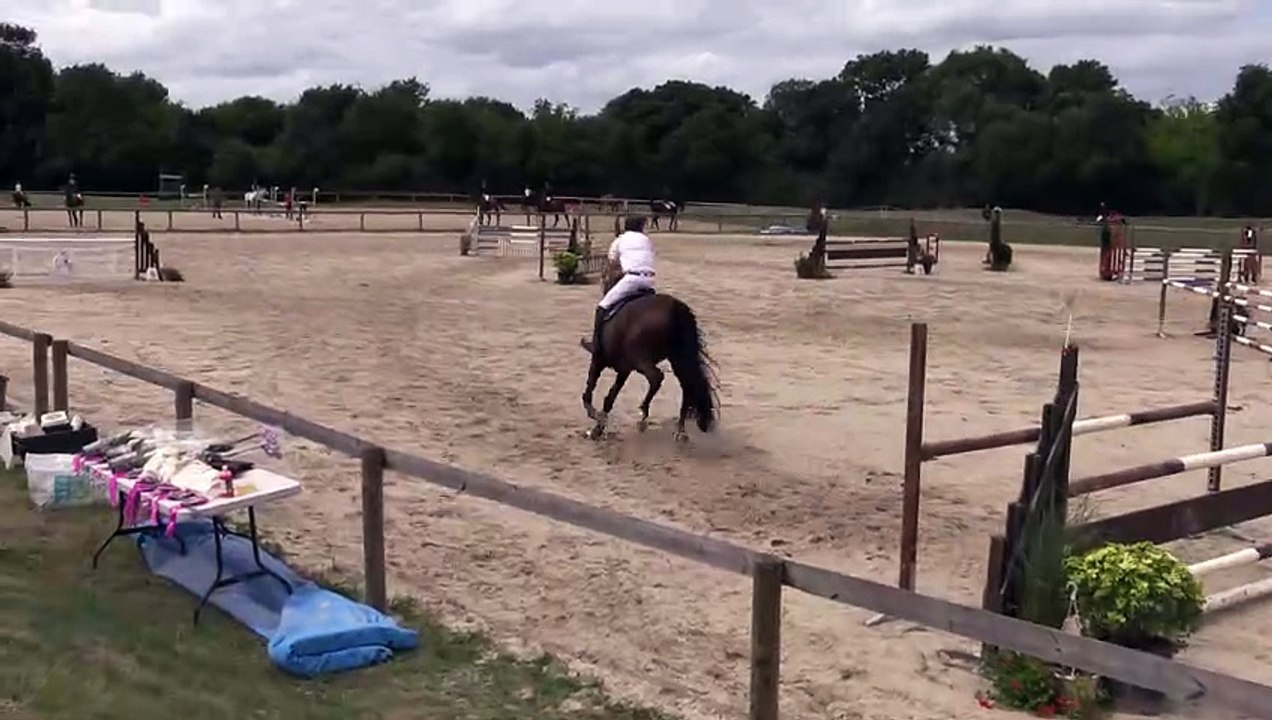 ILE BRAGARD 30-07-2017 Amateur 2 Grand Prix (1,10 m) 51
