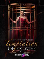 Temptation Of The Ex Wife