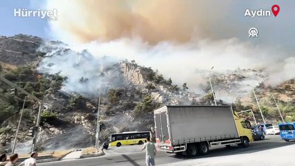 Aydın'da alevlerle mücadele: Yangında 10 saat geride kaldı