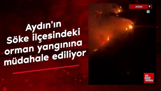 Aydın'ın Söke ilçesindeki orman yangınına müdahale ediliyor