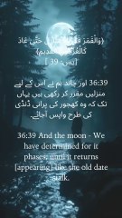 🌙 Every phase of the moon reflects Allah’s perfect plan — from brilliance to a thin curve. ✨ #DivineWisdom #MoonPhases