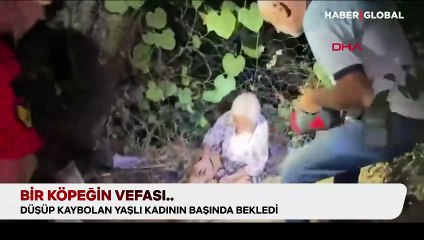 Duygulandıran vefa: Kayıp yaşlı kadın beslediği sokak köpeği sayesinde bulundu