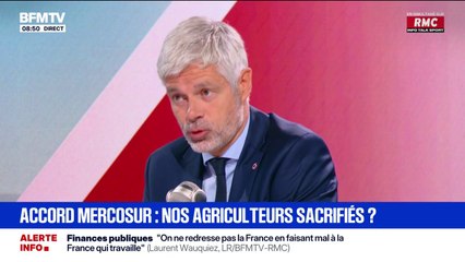 Mercosur: "Dans ces accords, l'agriculture est systématiquement sacrifiée", estime Laurent Wauquiez (LR)