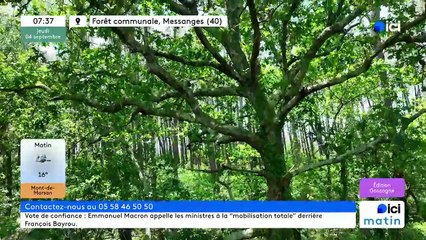 04/09/2025 - ici matin par ici Gascogne en vidéo