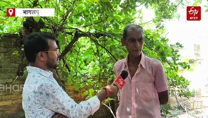 ऐसा डॉग लवर नहीं देखा होगा.. आवारा कुत्तों से गुलजार है घर, रोज इनके लिए बनता है चावल, रोटी और अंडा