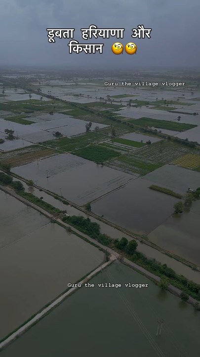 flood in punjab and in haryana NUH ❓