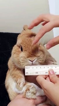 A gente costuma pensar que apenas os grandes atos deixam marcas. Mas a verdade é que_ todos os dias_ deixamos pedaços de nós nos lugares por onde passamo(