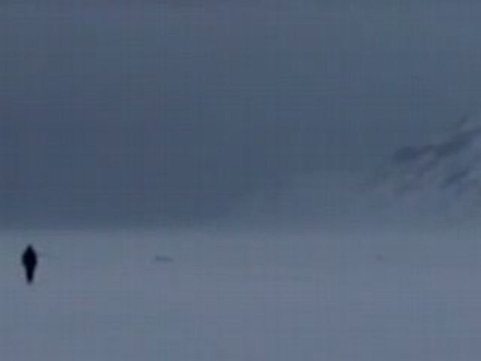 NORTHAUNT - THE WILDERNESS
