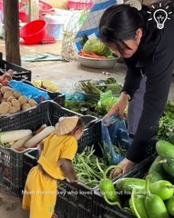 This monkey is definitely a pet you want to have around!