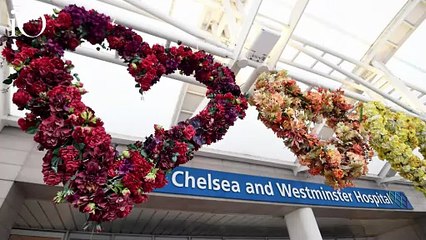 Beatrice di York è di nuovo mamma: è nata la seconda figlia, Athena Elizabeth