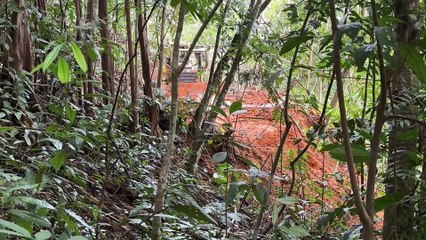 Bulldozer D6R XL Struggles to Open Access to the Mountain