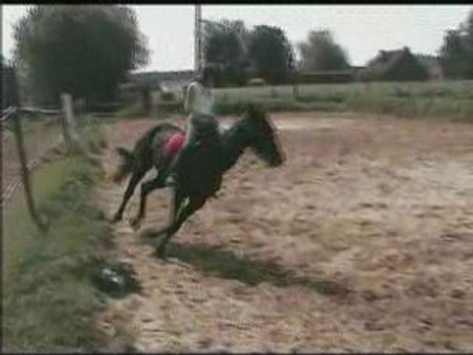 quickie au galop