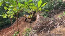 Speed and Precision of the D6R XL Bulldozer in Road Expansion