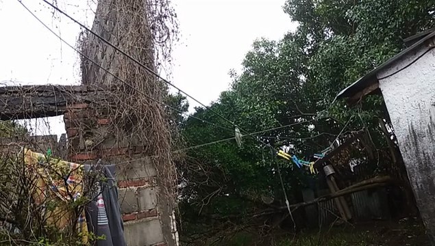 Lluvia mansa, perros ladrando y algunos truenos en una tarde de mucha lluvia - Tacuarembó 03/09/2025