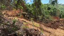 Why is the Bulldozer D6R XL the mainstay for plantation roads?