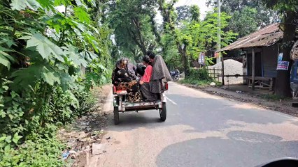 কাহালু বগুড়া Kahaloo Bogura
