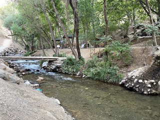 Temiz hava ve serinlik arayanlara! Çevre illerden geliyorlar