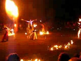Les Salamandres