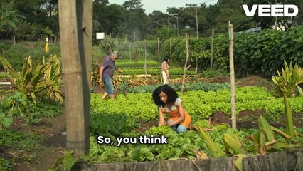 Global Farming & Agri-Business Expertise Explained | John Sedgwick St. Louis