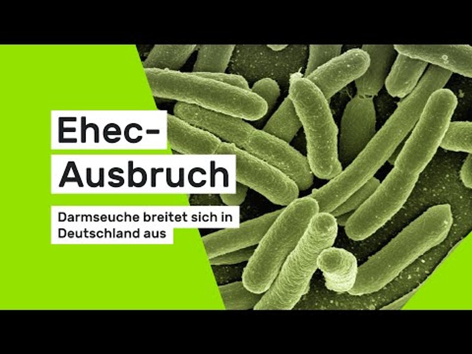 Ehec-Ausbruch: Darmseuche breitet sich in Deutschland aus
