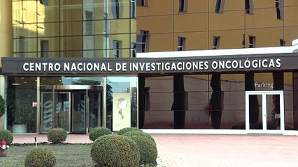 Raúl Rabadán, nombrado nuevo director científico del CNIO