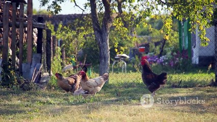 This Boy Learned What Real Wealth Means  2025-09-03