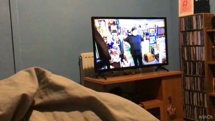 Rantbox Revival Series 4 Episode 6 Final Part: Johnny Vegas’ Little Shop Of Antiques