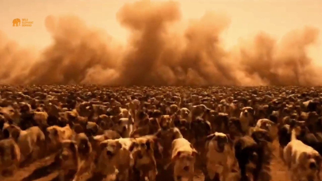 Elephant’s Tactical Retreat 🐘 Outsmarting 1 Million Dogs 😱🔥 | Epic Survival Story